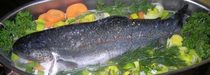 Kulinarischen Restaurant Sternen - frischer Fisch